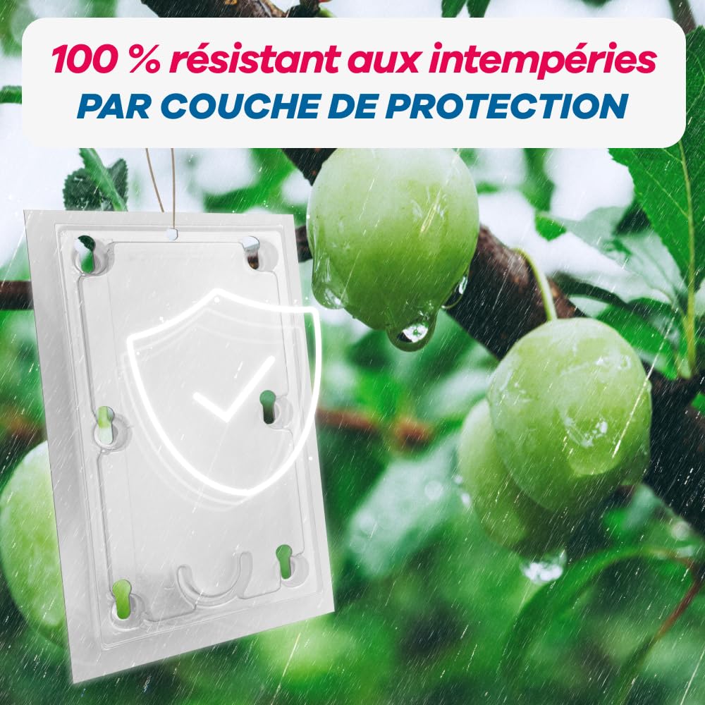 Phéromone Carpocapse De La Prune - Piège Sexuel Naturel - Traitement Bio Prunier (Phéromone Seule)