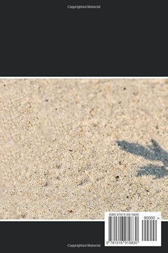 The Book Of Job (Kjv) (Sunlight Bibles Complete Set Of Individual Bible Books) #TOP1