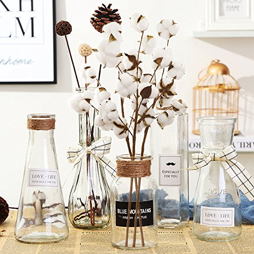 Coceca Cotton Stems - 3 Pack 10 Balls Per Stem - 23 Inch Farmhouse Display Filler-Foral Decoration - Thumbnail 7