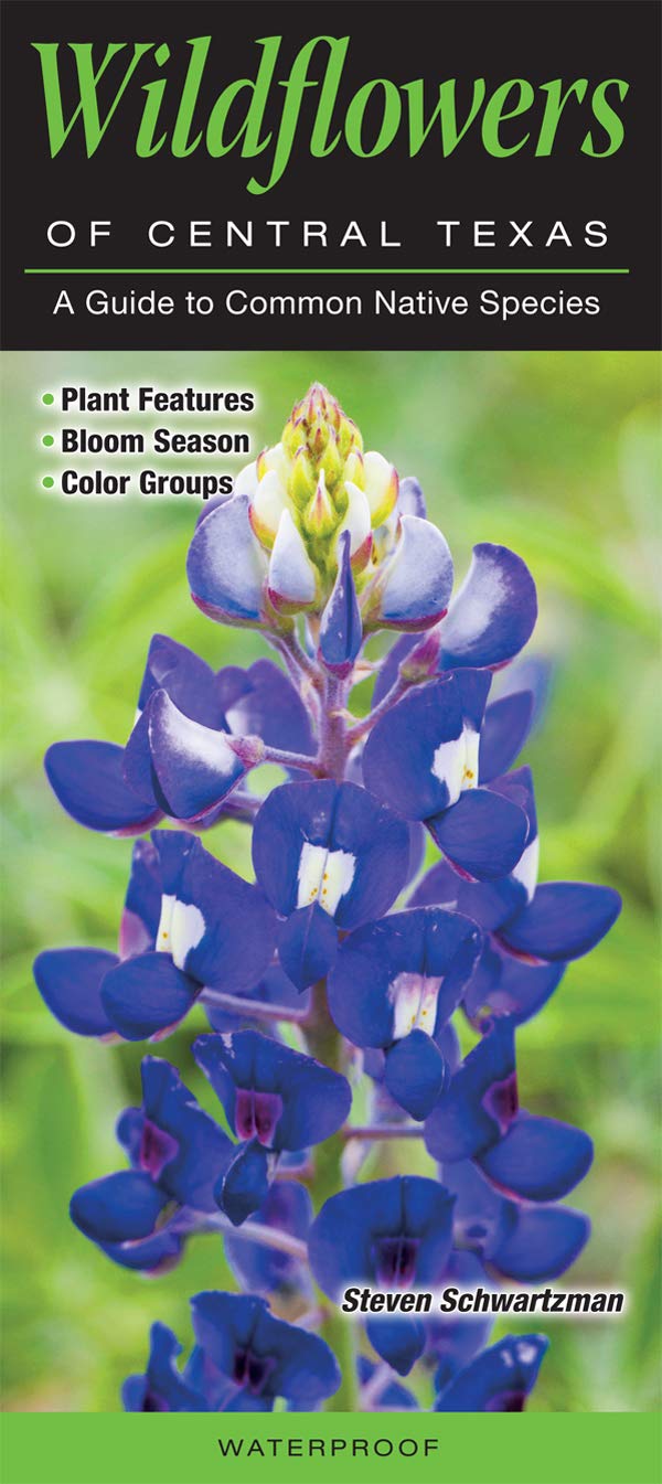 Wildflowers of Central Texas: A Guide to Common Native Species (Quick Reference Guides)