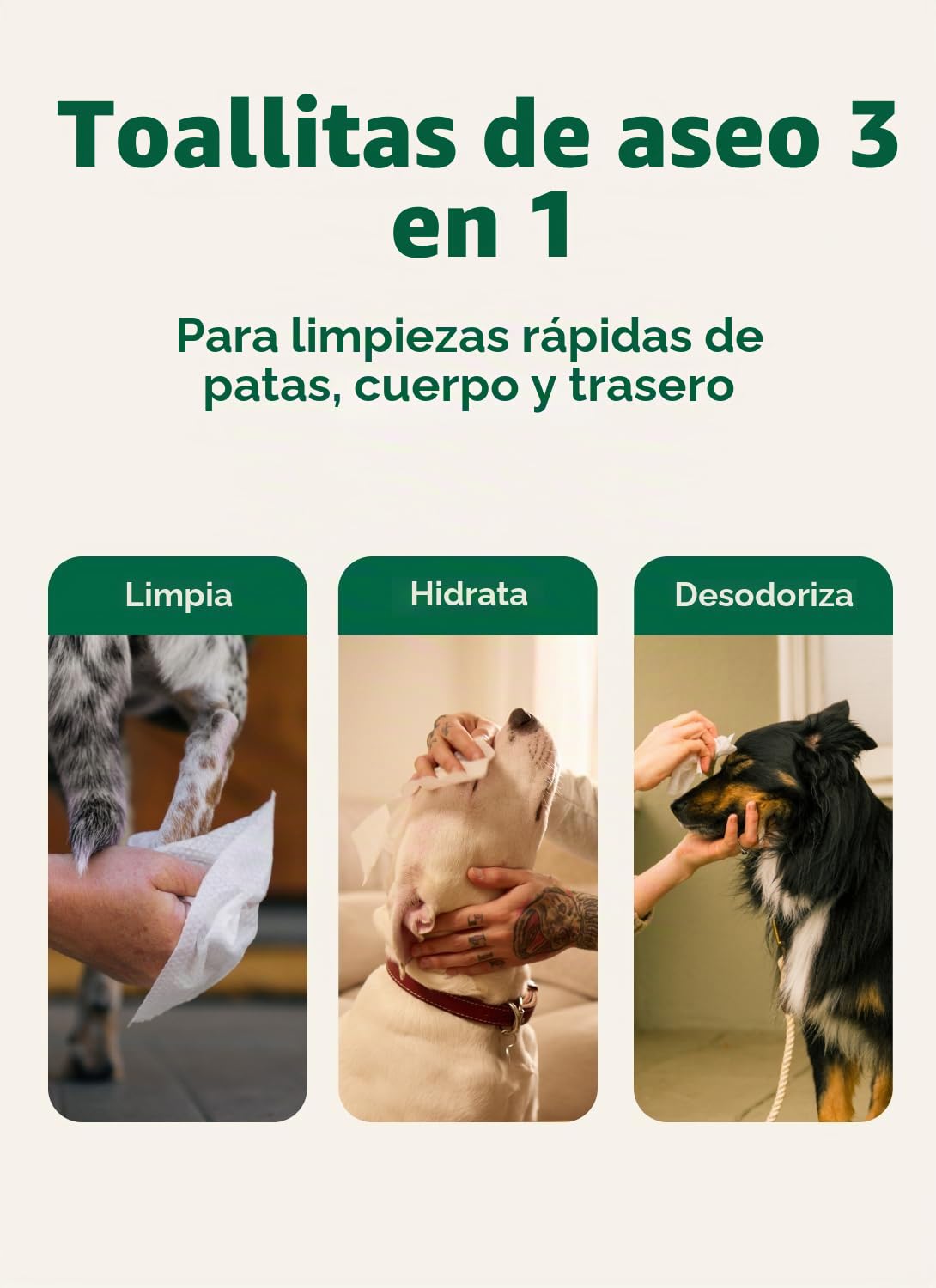 Earth Rated Toallitas hipoalergénicas para Perros, para Limpiar y Eliminar olores de Patas, Cuerpo y Trasero, Cachorros y Perros Adultos, Aroma a Lavanda, 100 Unidades