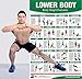 Bodyweight Training Poster/Chart - Lower Body: Body Weight Training - Leg Workout - Body Weight Exercises - Butt Workout - Body Training Exercises - No Equipment Routine - Ab Routine - Thigh Workout