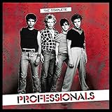professional experience examples  Complete Professionals