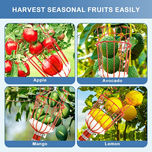 Zaaoeha Fruit Picker Tool,8Ft Apple Picker Pole With Basket Adjustable, Long Handle, Easy To Attach,Stainless Steel Fruits Catcher Tree Picker For Picking Apples, Oranges, Mangoes, Lemons, Avocados #TOP6