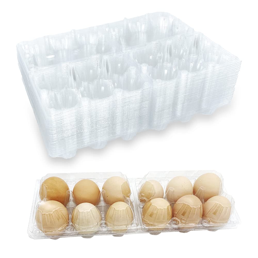Buy 30 Pack Plastic Egg Cartons for 12 Count Chicken Eggs, Plastic