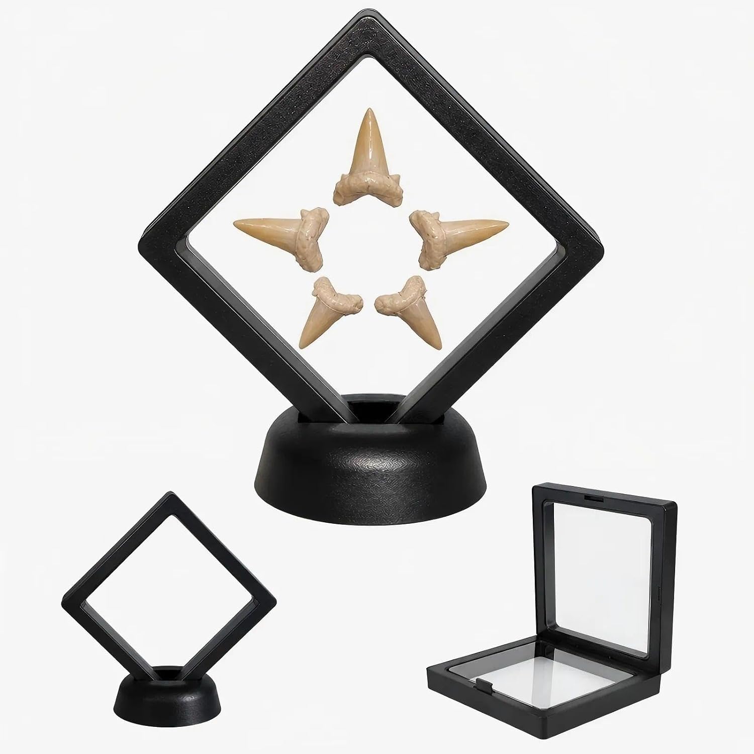 2 Pack Shark Tooth Display Case, Floating 3D Sealed Holder for Shark Teeth, Fossils & Jewelry, Dust-Proof PE Film Display Box for Collectors (2.76 x 2.76 in)