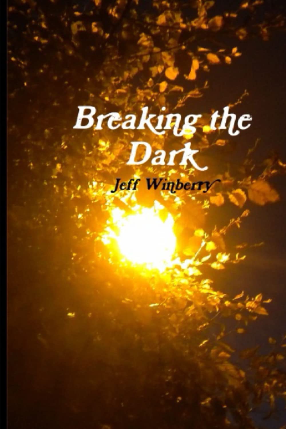 Breaking the Dark