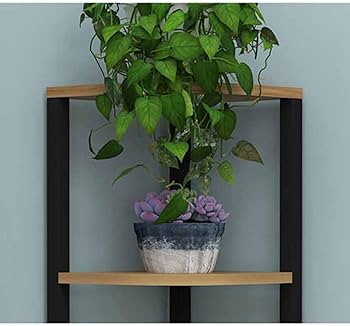 Amazon｜[GZGZ] 観葉植物 棚 コーナー テーブル ラック ミニ フラワー