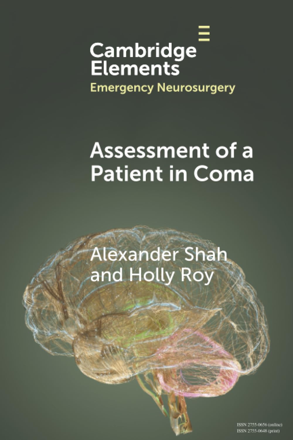 Assessment of a Patient in Coma (Elements in Emergency Neurosurgery)