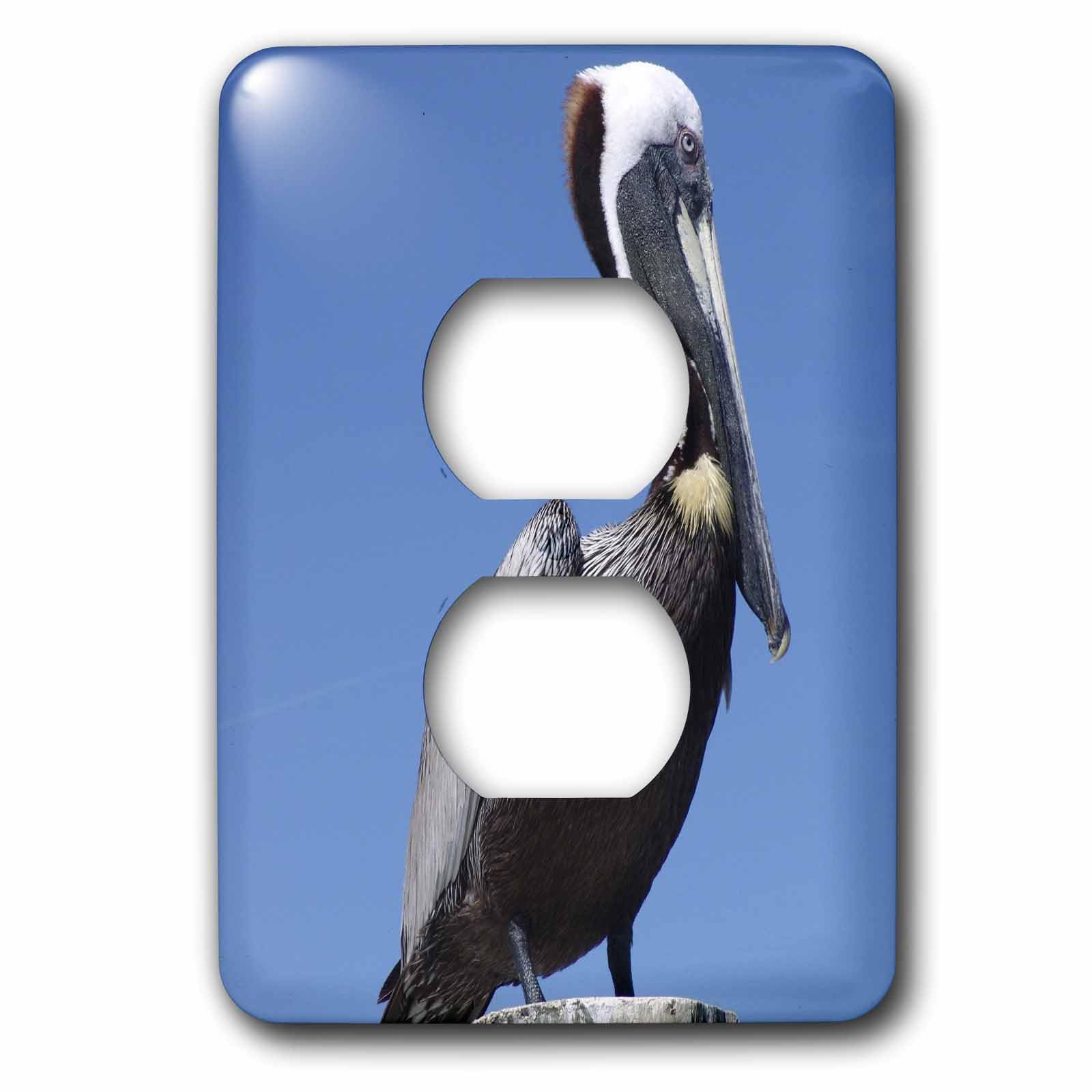 Pelican Stare 2 bouchon de prise pour masquer les connecteurs laids