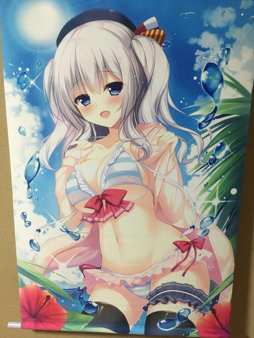 湊あくあ (水着) B2タペストリー がおう Amazon.co.jp: ホロライブ上海