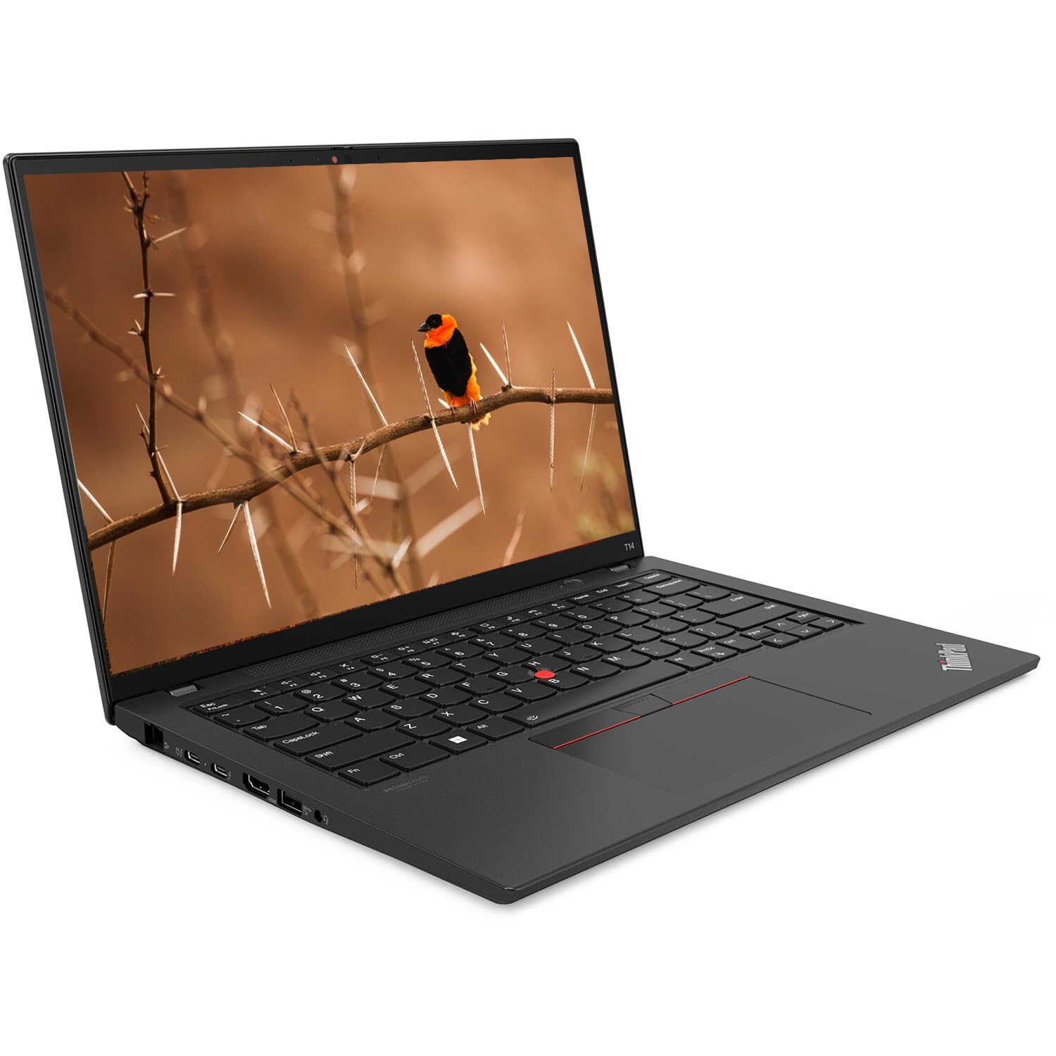 Lenovo Thinkpad T14 Gen 1 Touchscreen Business Laptop, 14" FHD (1920x1080), Intel Core i5-10310U, 16 GB RAM, SSD da 256 GB, Tastiera US QWERTY, Windows 11 Pro (Ricondizionato)