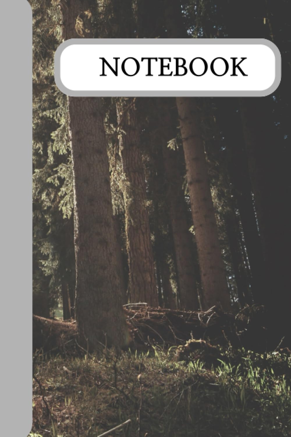 notebook: the sun in the forest