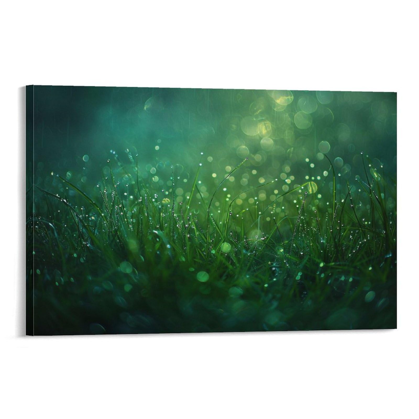 絵画 。壁掛け絵☆【きれいな女性ときれいな緑の植物】 Amazon.co.jp: 絵画 雨の後の草インテリア 絵画 植物イラストアート