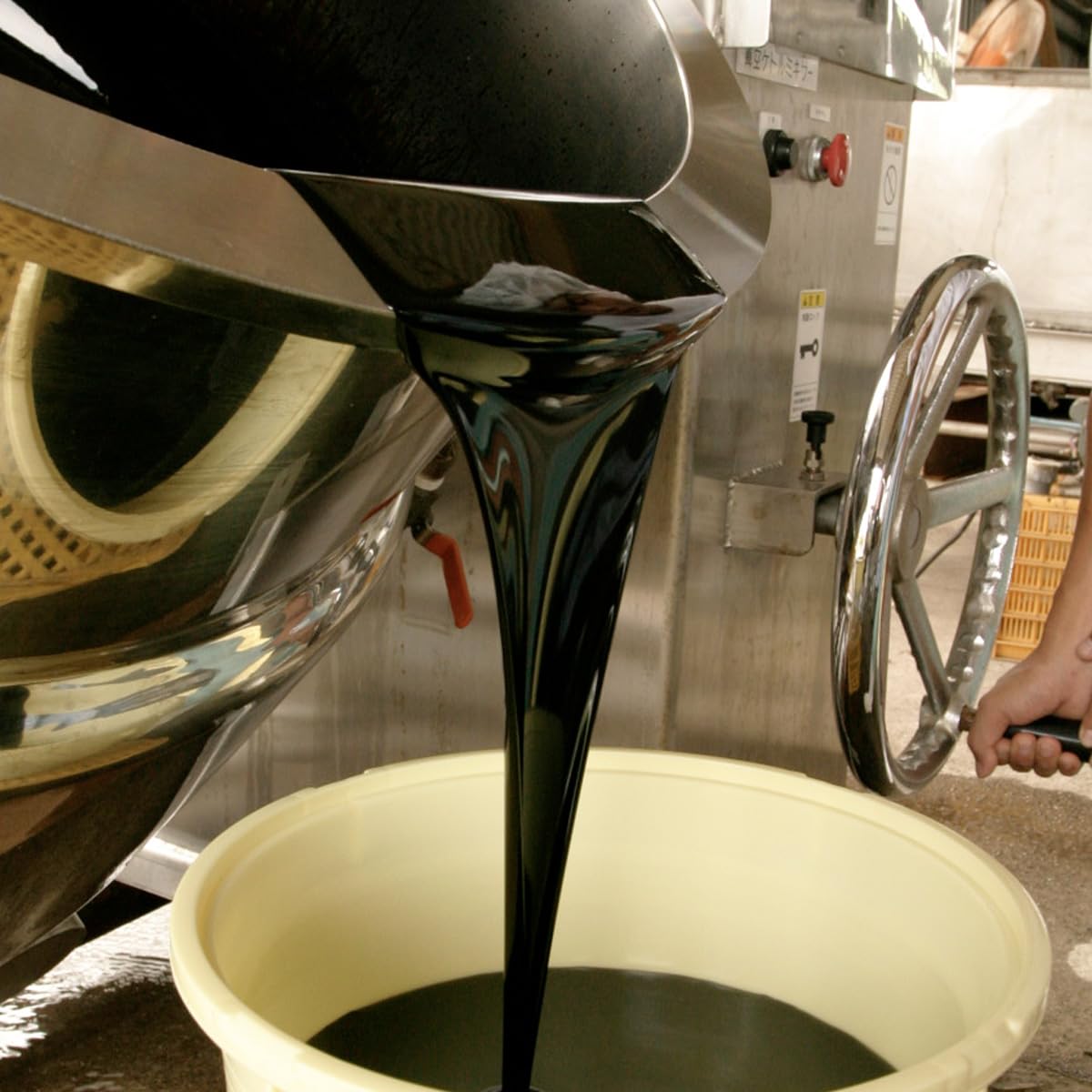 Amazon | 【 梅肉エキス専門店が作った 】黒玉 粒状 梅肉エキス 