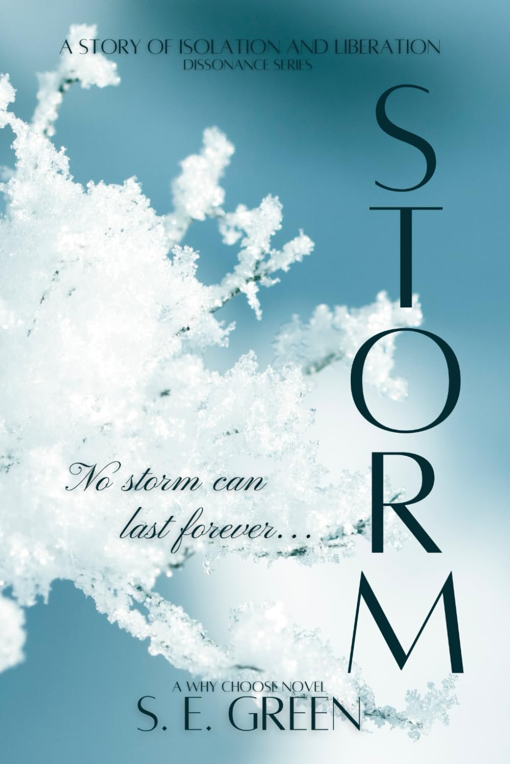 STORM: A Why Choose Snowed-In Romance (DISSONANCE Series)