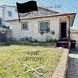 The Fine Options