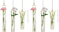 Glasseam Gold Wall Hanging Propagation Station - Set of 6 Glass Terrariums for Hydroponic Plants, Pothos, Ivy Cuttings & Home Decor Gifts