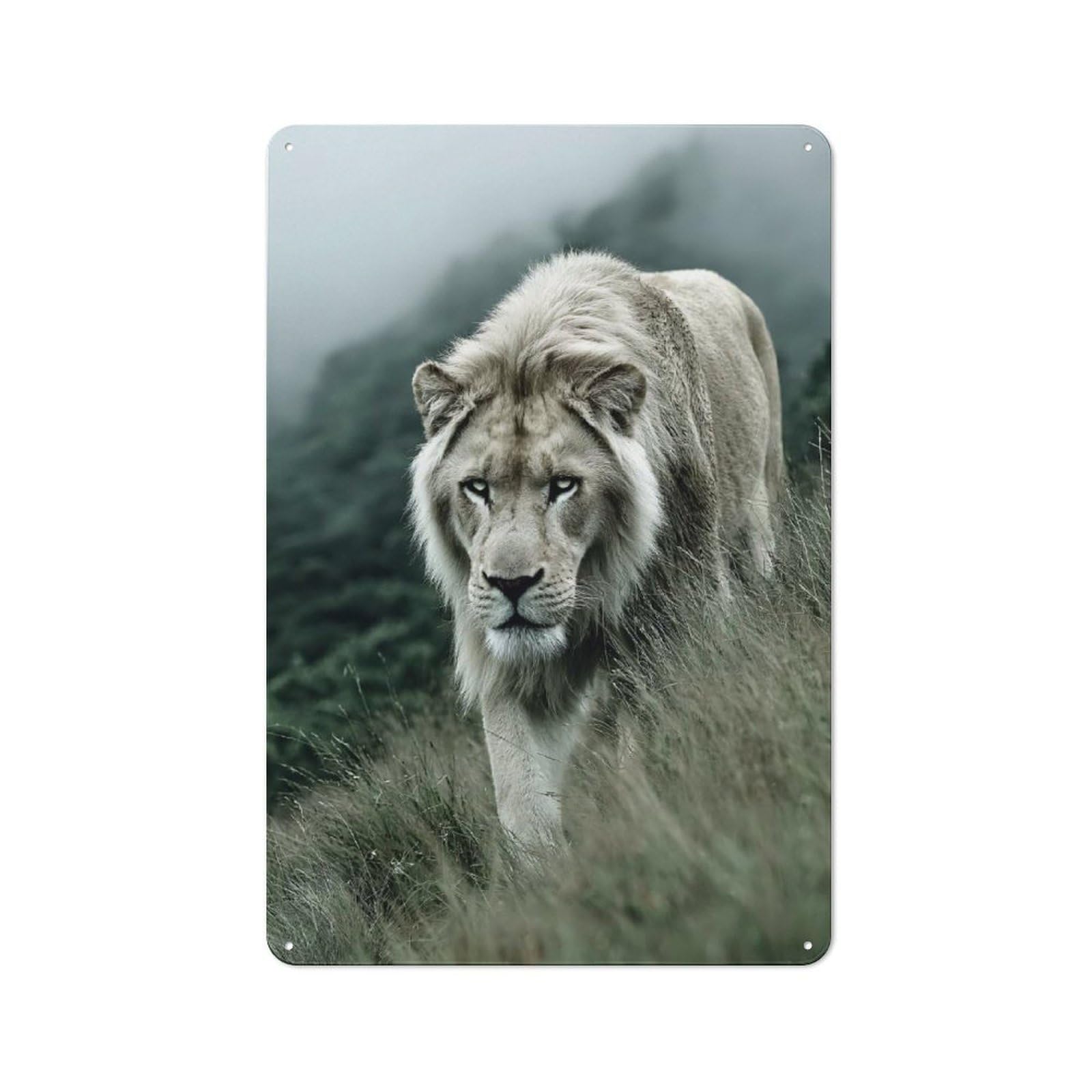 Junmoney Style-14 Vintage Tin Sign 30X20cm With Majestic Lion Portrait In Grassy Field For Hobby Room Or Studio, A Decorative Christmas Gift For Hobby Room Decor Fans