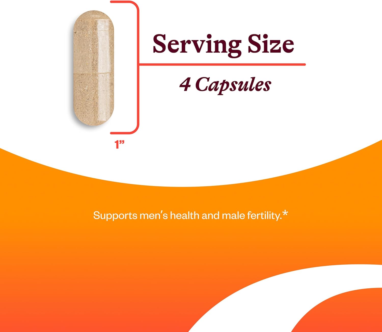 Seeking Health Optimal Man - Multivitamin Supplement with Zinc, Active Folate, & Alpha-Lipoic Acid - Multivitamin Supports Energy & Brain Health - Support Healthy Aging & Men's Health - 30 Servings - Image 3