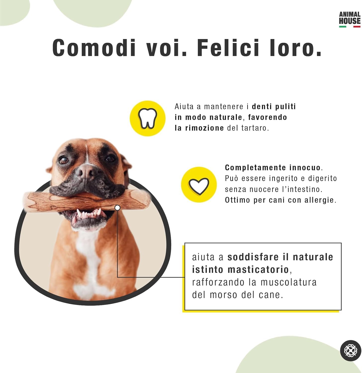 Animal House Set di 2 Legni d’Ulivo per Cani, Masticativo Naturale di Alta Qualità, Resistente, Antistress, per Igiene Orale (15-20 cm, M)
