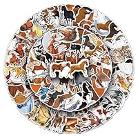 100 Pcs Horse Stickers Pack Cute Horse Riding Stickers Pack Horse Riding Stickers for Water Bottle Laptop Scrapbook, Cool Horse Themed Stickers for Girls Women Kids
