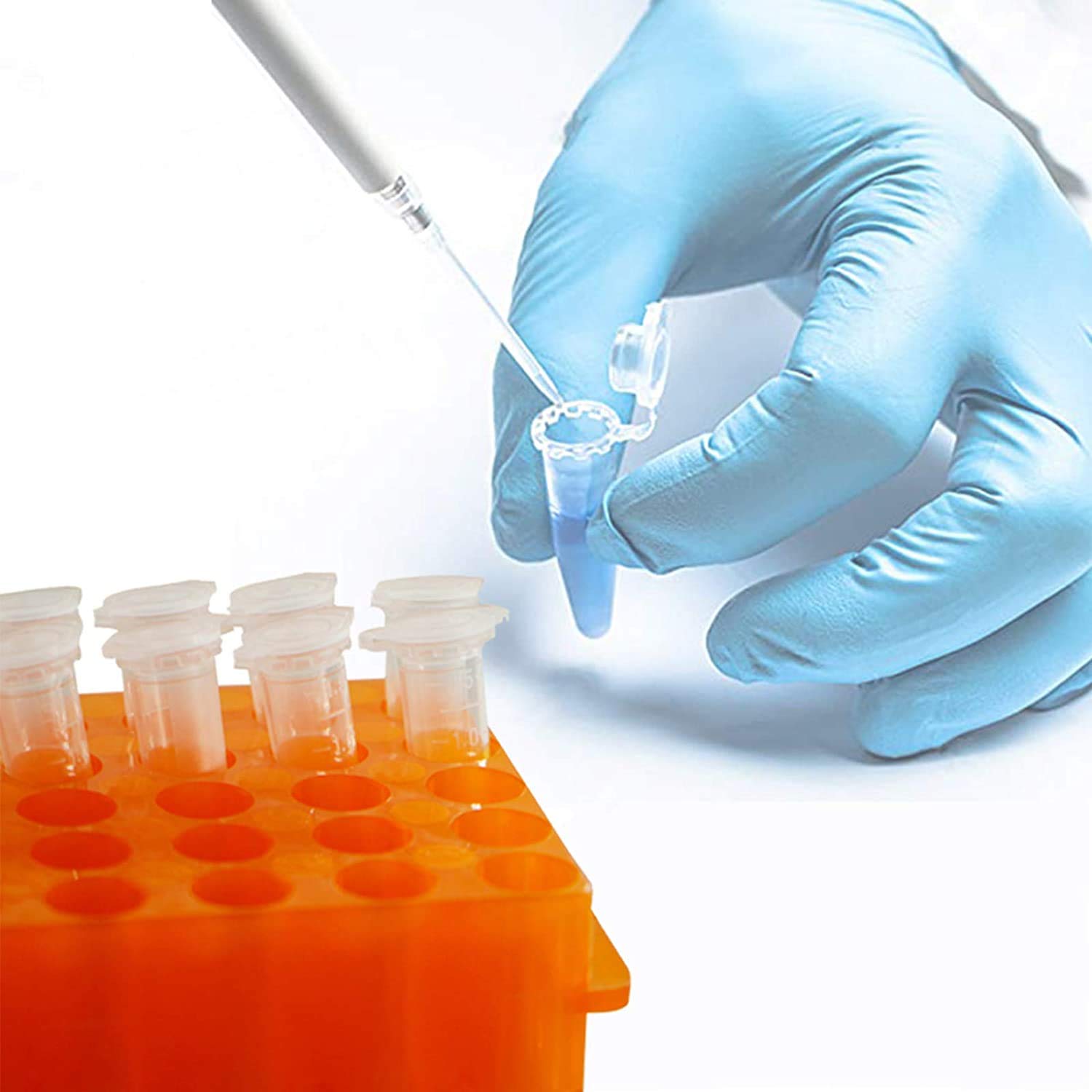 500 tubes à centrifuger, flacon de réaction, récipient à globules à double fermeture, microtubes en polypropylène, bouchons à globules avec couvercle de 1,5 ml, transparent pour échantillon d'ampoules