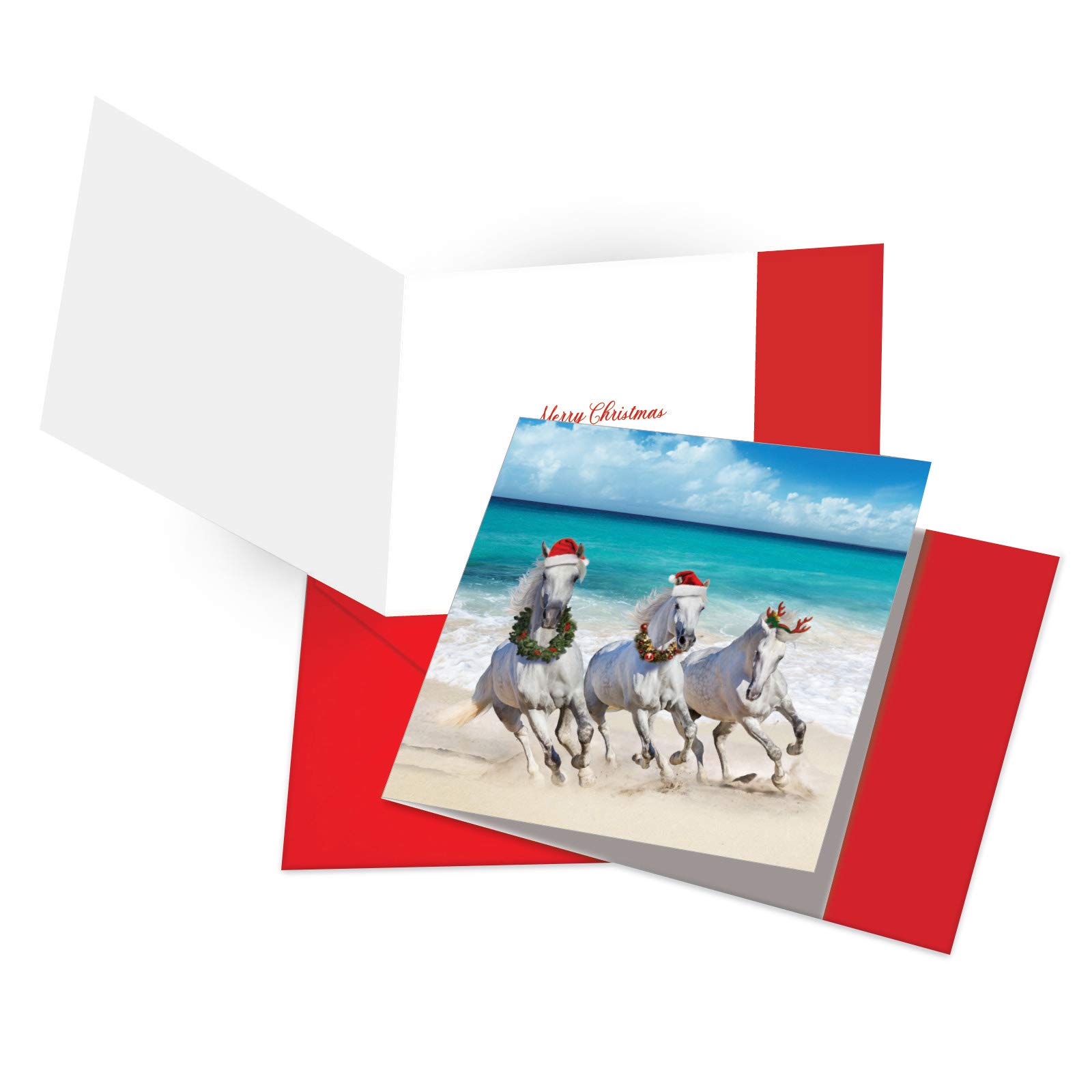 The Best Card Company TBCC-XS-Box-2 Seasons greetings