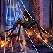 Newthinking Outdoor Giant Plush Spider Halloween Decorations Suit, Plush Giant Spider, Giant Spider Web, Stretchable Elastic Spider Web, Plastic Small Spider for Halloween Outdoor House Decoration Newthinking Outdoor Giant Plush Spider Halloween Decorations Suit, Plush Giant Spider, Giant Spider Web, Stretchable Elastic Spider Web, Plastic Small Spider for Halloween Outdoor House Decoration