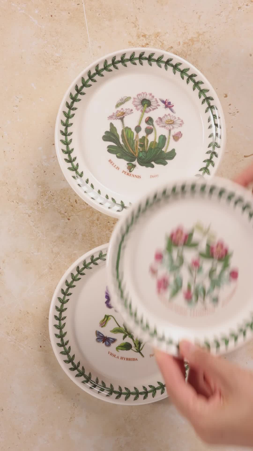 PORTMEIRION The Holly and The Ivy Set 6 Piatti Frutta