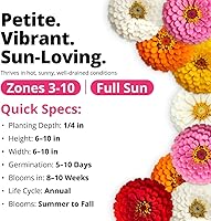 Vista 374 de HOME GROWN Semillas de diente de león para plantar 600 semillas de hierbas medicinales tradicionales (~ 0.01 oz) sin OMG cultivan hojas y flores