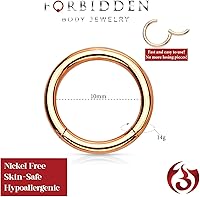 Vista 101 de Forbidden Body Jewelry - Piercing para la nariz de acero quirúrgico 316L con bisagra, 14G, 16G, 18G, diámetro de 15/64, 5/16, 25/64, 15/32 pulgadas