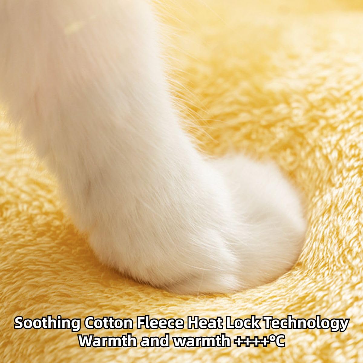 Cuccia per gatti, graziosa cuccia per gatti da interni, bella cuccia per interni, calda cuccia per cuccioli e gattini (grigio, M)