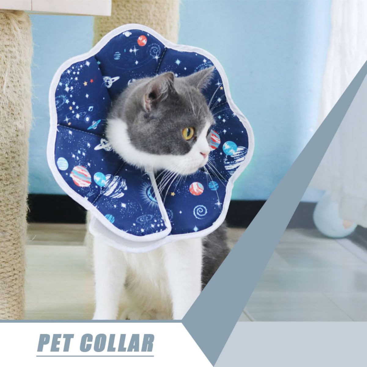 Didiseaon 5pezzi Collare Elisabettiano Per Animali Domestici Protezione Post-operatoria Per Gatti e Cani Previene Leccate e Grattate Design Comodo e Facile Da Collare Protettivo Per Ferite e