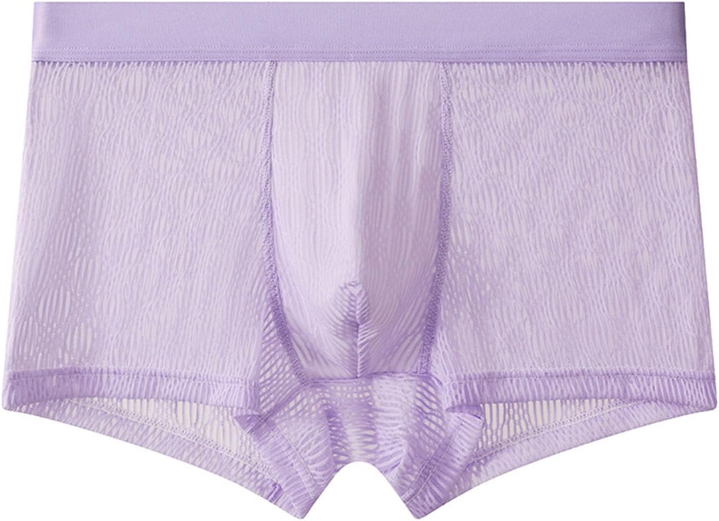 Men Mesh Boxer Briefs Low Rise Contour Pouch Trunks Underwear