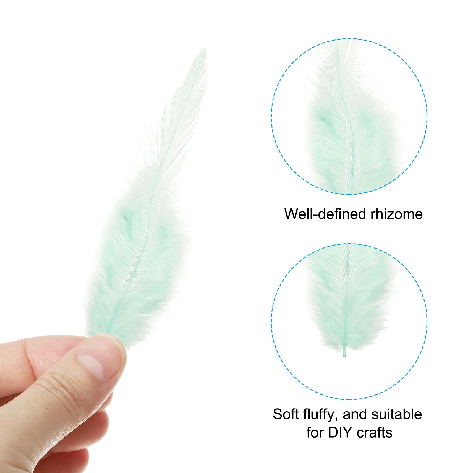 PATIKIL 3-5 Inch Rooster Feathers - Image 3