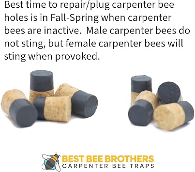 Best Bee Brothers Hand-Dipped Wooden Carpenter Bee Hole Cork Plug Kit (8 Pack), Carpenter Bee Damage Repair