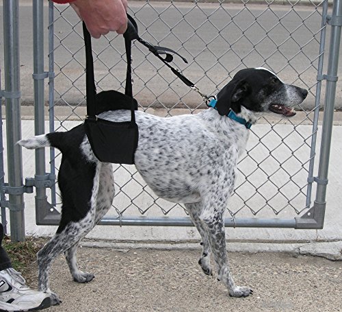 Gingerlead Dog Sling Hip Support Harness, Sm Male Fits Small To Medium Size Pets 20-65 Lbs. (Male Dachshunds Use X-Small Size) Or Larger Barrel Chested Dogs Like Boxers Or Bullies. Made In U.s.a. #TOP5