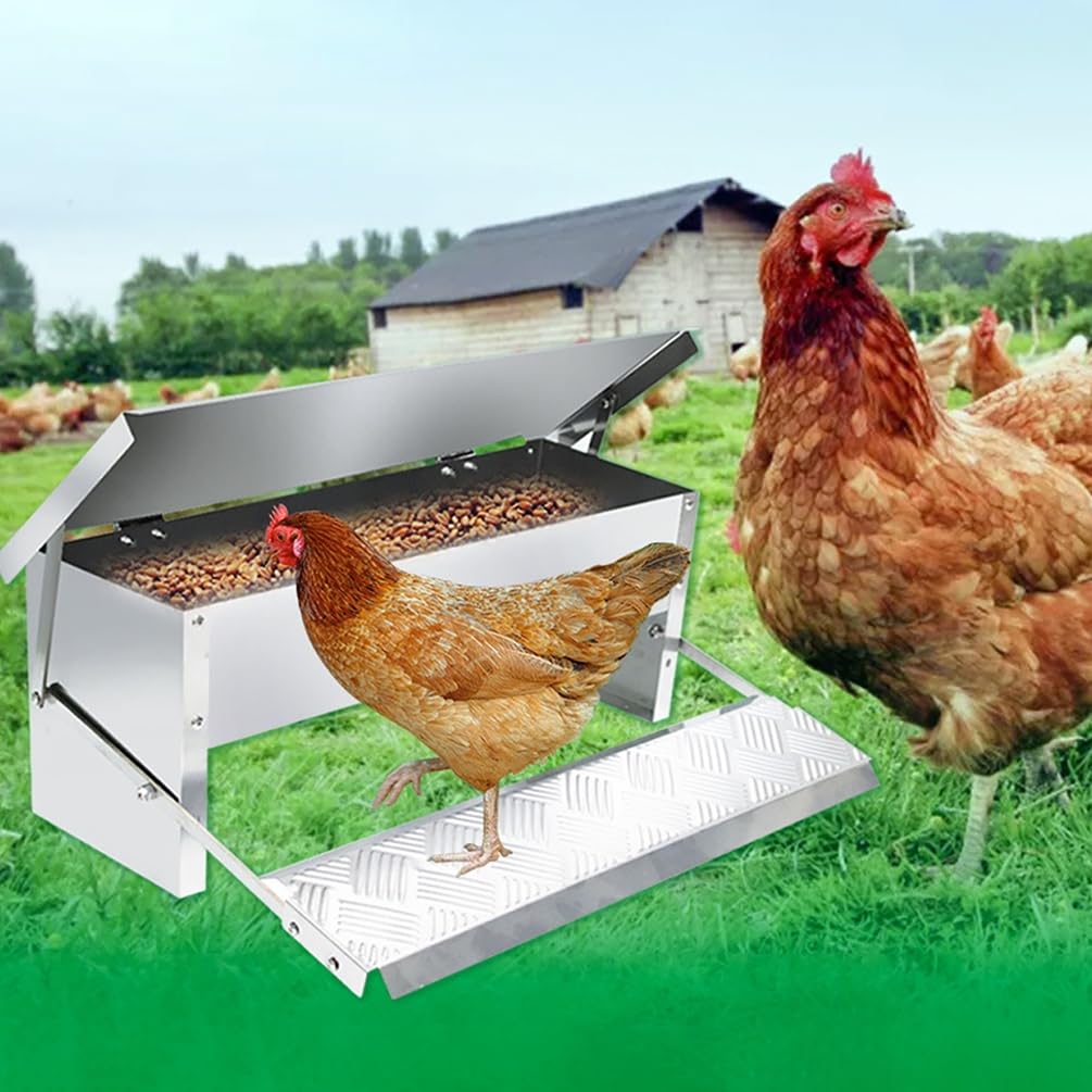 Alimentador automático de pollos de alta resistencia, equipo de alimentación de aves de corral operado con pies, accesorios para gallineros a prueba de roedores y lluvia