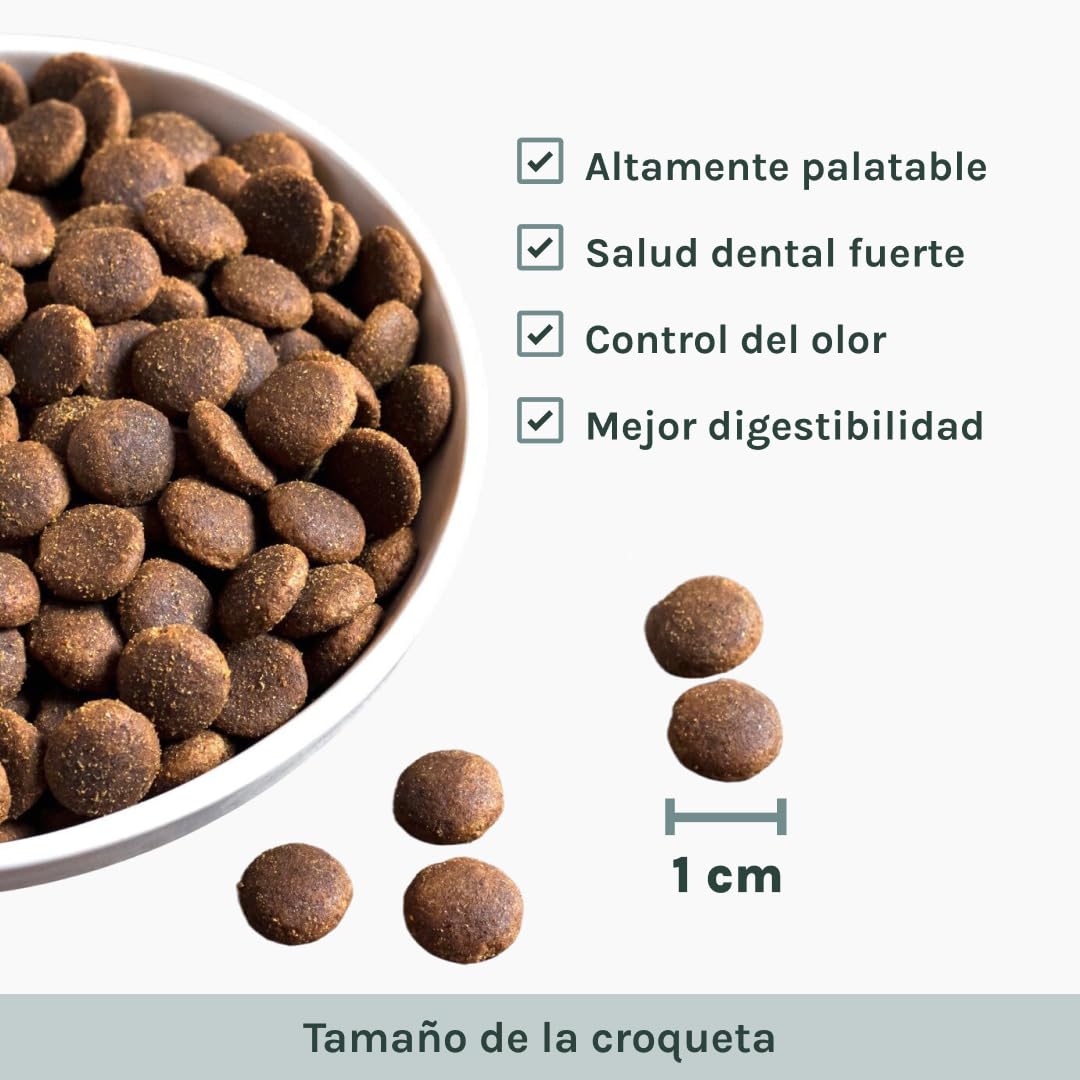 BUBBO Senior Pienso Natural con Salmón Sin Gluten - Vitalidad y Bienestar en Perros Mayores | Control de Peso, Articulaciones y Digestión (12kg)