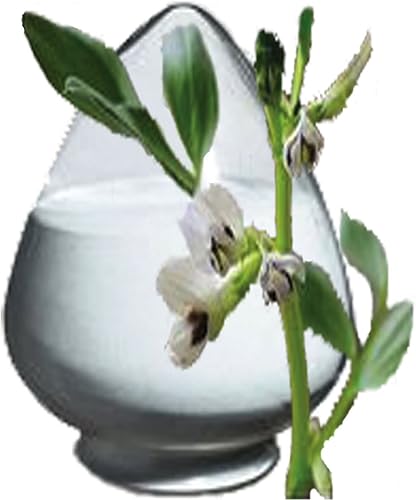 Miniatura 4 de 100 polvo de extracto de Mucuna Pruriens - 99 L-Dopa en polvo - Alimentos reales naturales Semilla de terciopelo de grano Kapikachhu Cowitch Cowhage