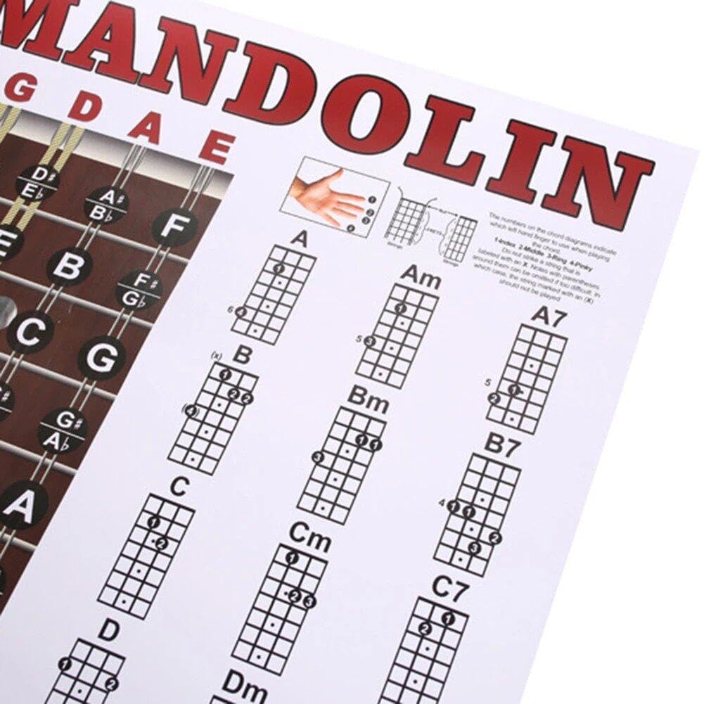 Mandolin Accessories MANDOLIN PRACTICE CHART Beginner Laminated Popular ...