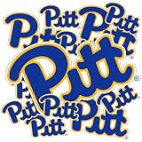 Desert Cactus Pitt Panthers Sticker Car Decal (T3-1)