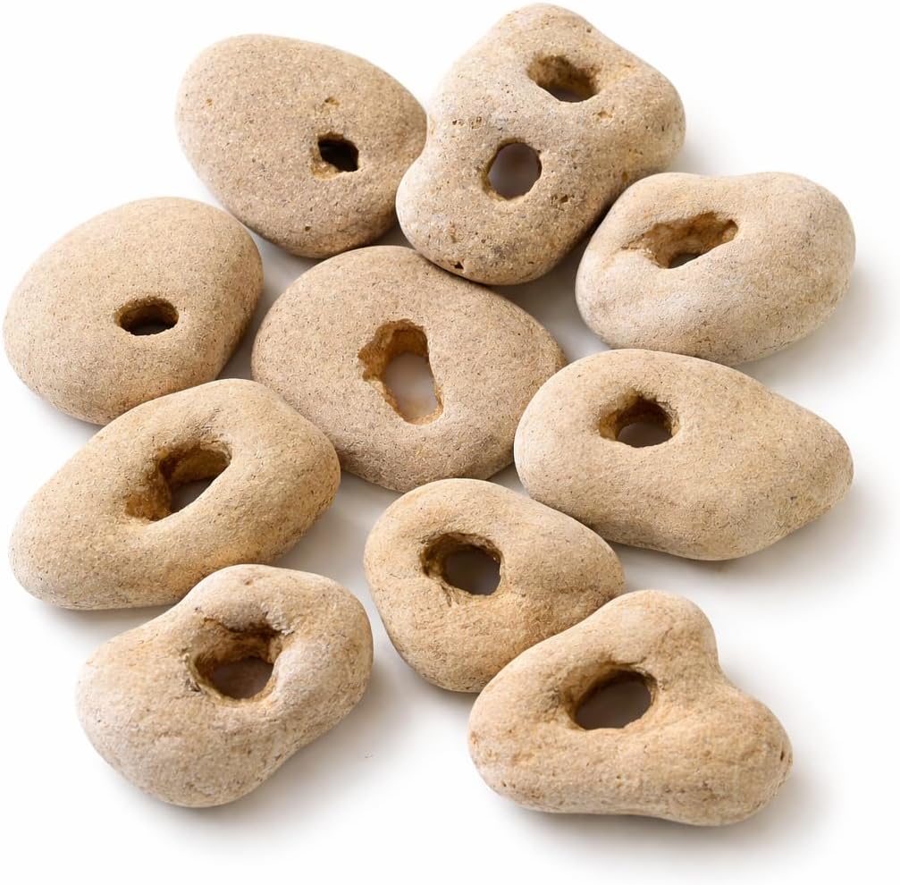 Lot of 10 Natural Hag Stones 2–3" – Raw Sea Wishing Stones with Natural Holes – Witch Fairy Odin Protection Stones – Large Raw Beach Stones for Decoration & Rituals