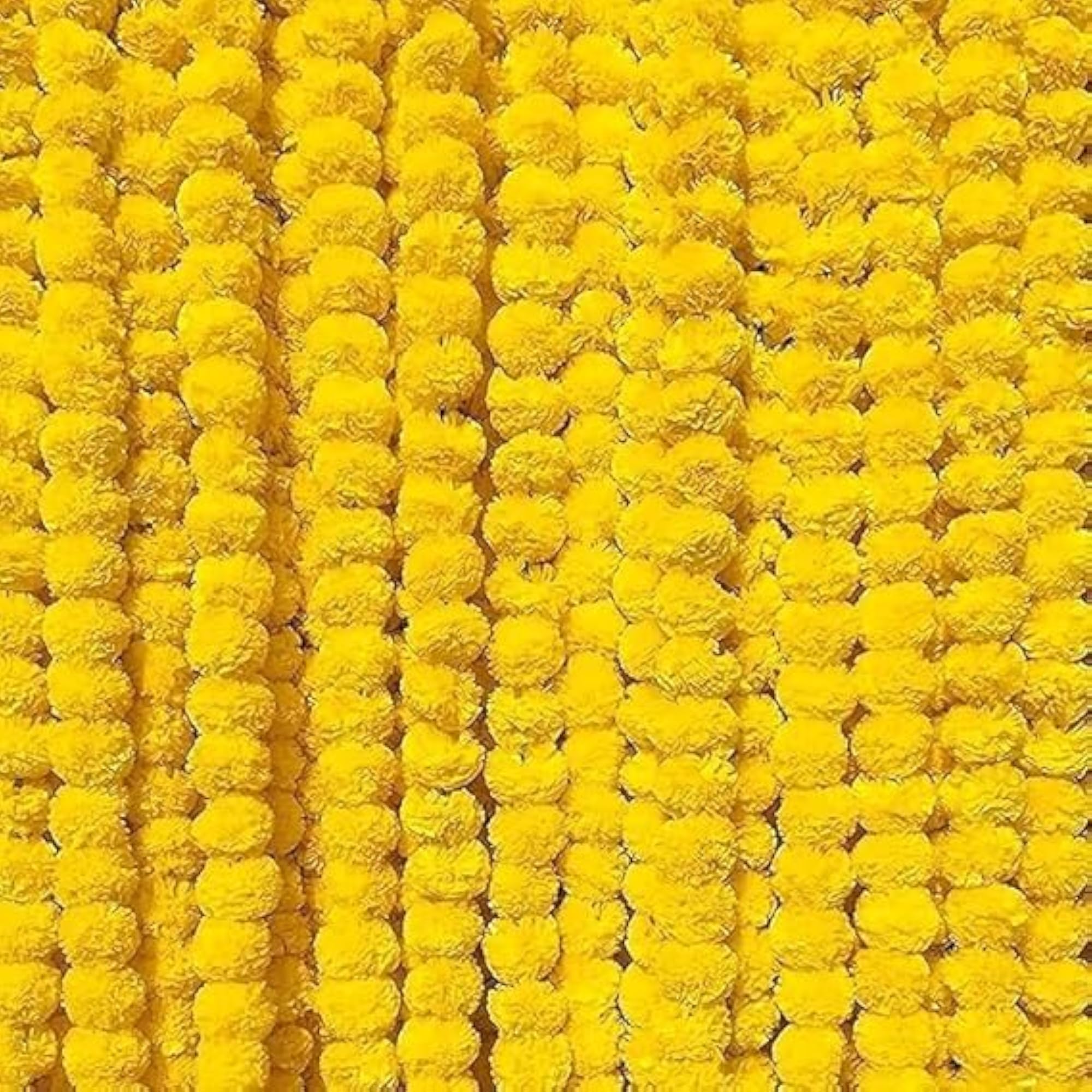 Decorative Backdrop Set with Marigold Strings