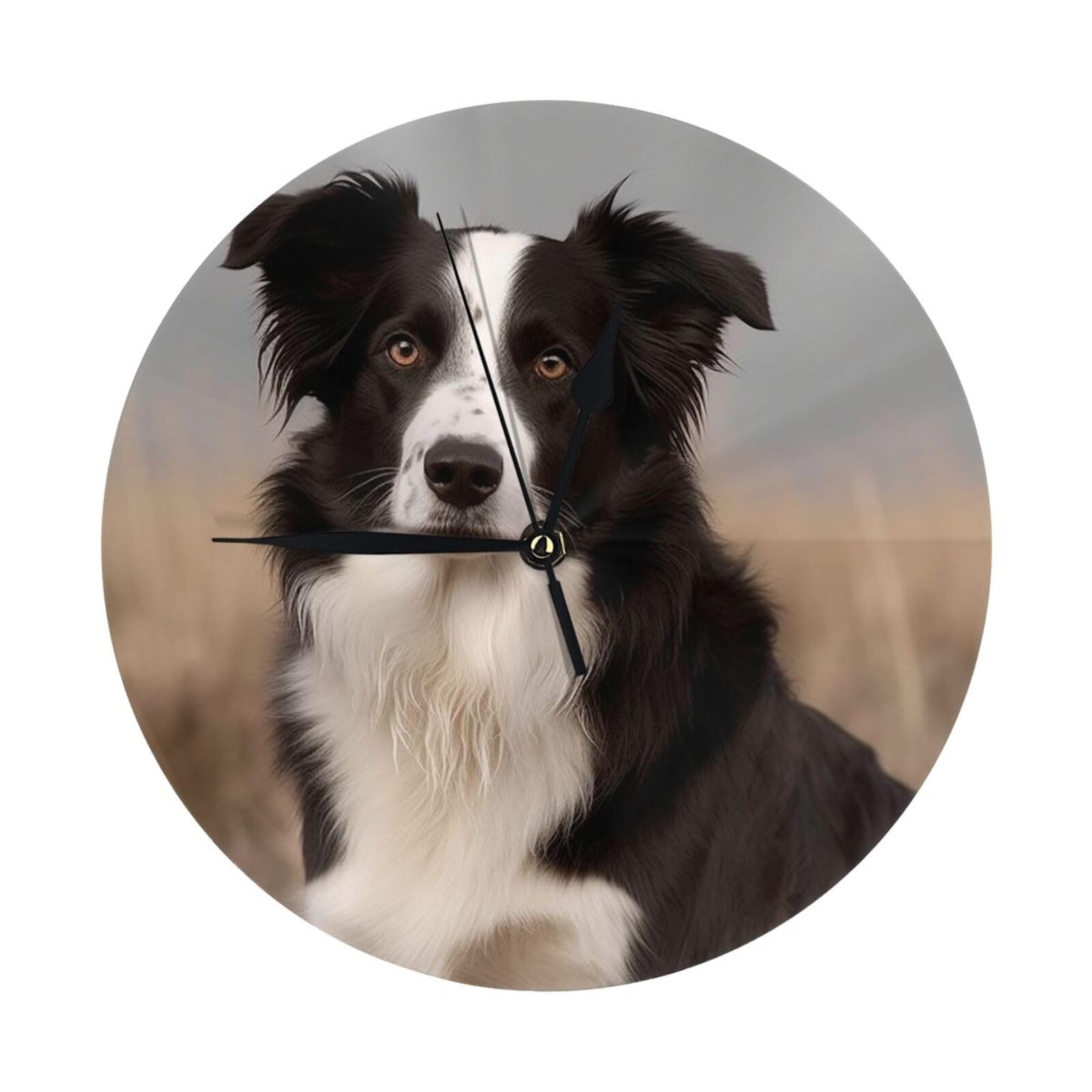 SDTYKHJ Border Collie Wall Clock Silent Non-Ticking Modern Clocks Battery Operated Wall Clocks Small Classic Analog Clock Decorative for Kitchen Living Room Office Bedroom Bathroom