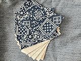 Inside/Outside Decorative Bandana Iron On Patches-Set of 10 (3” x 5”) (Blue Bandana)