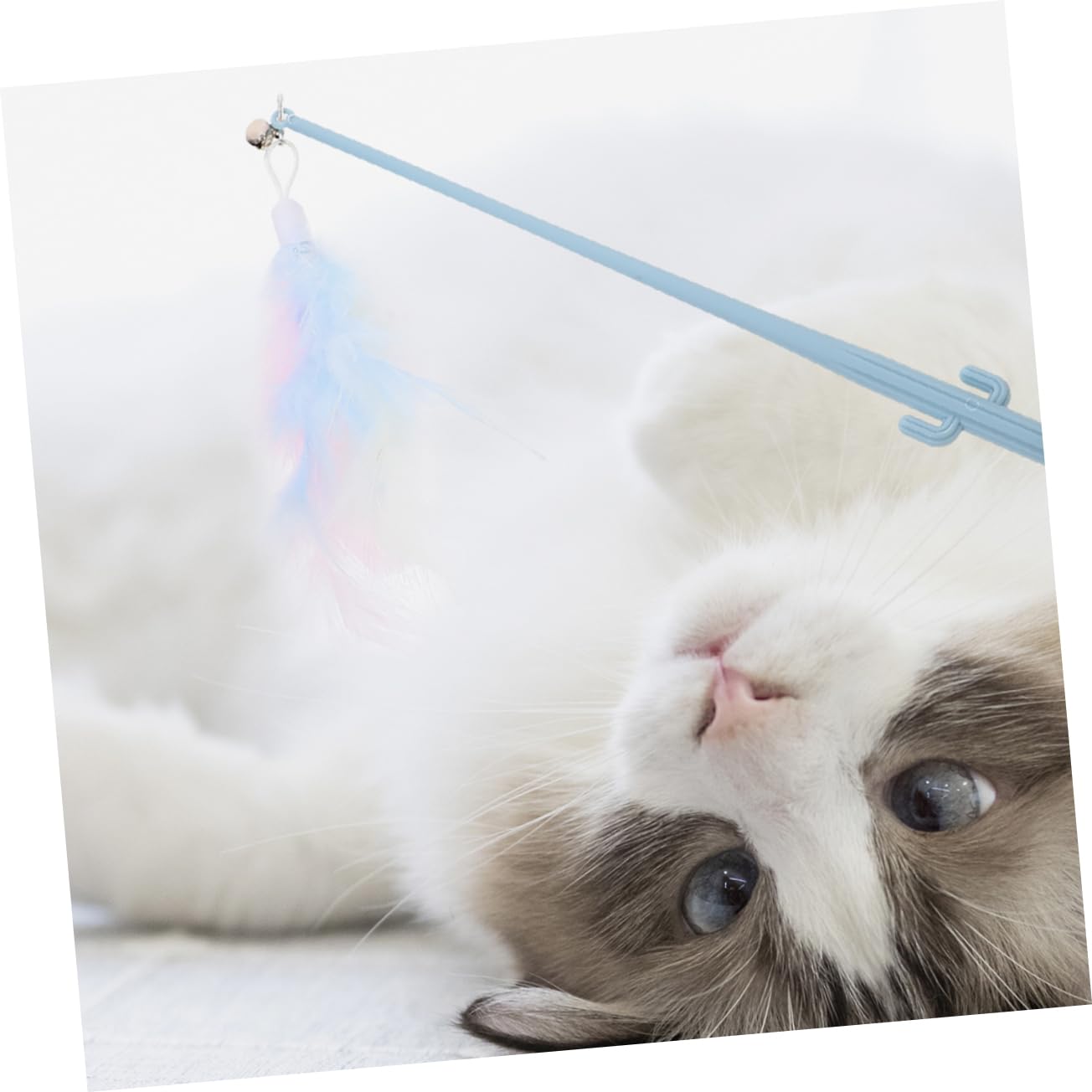 Kisangel 20pièces Canne à Interactive pour Chat avec Plumes Et Clochettes Jouet Feutre pour Exercice Et Combattre Ennui des Chats Intérieur