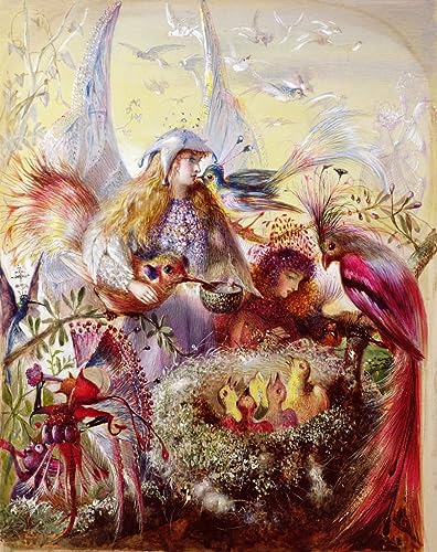 Póster de pájaros de Anster Fitzgerald ZHAOSHAN arte de graffiti 60x90cm