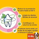 Ver la foto 7
